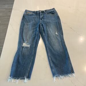 Judy Blue Boyfriend Fit 'Howdy' Embroidered Jeans size 13 /31‎